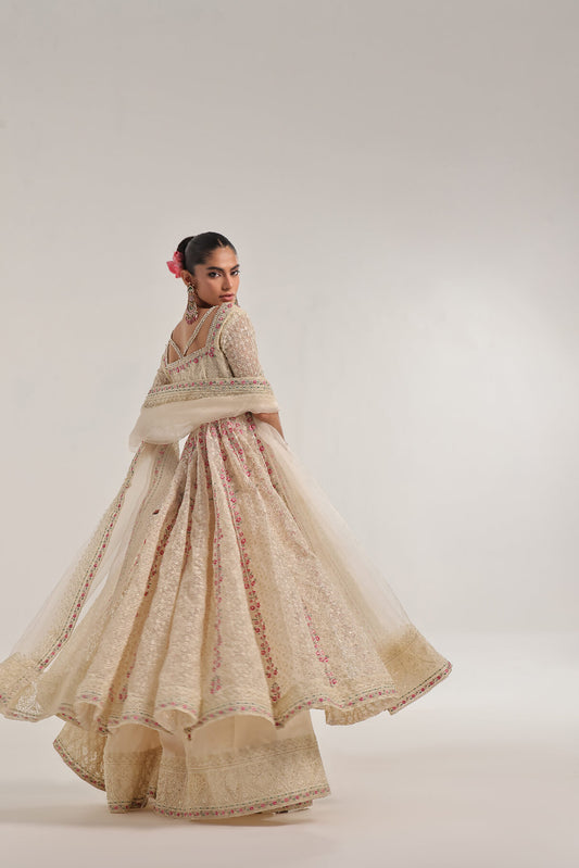 DOVE – Embroidered & embellished Kalidar